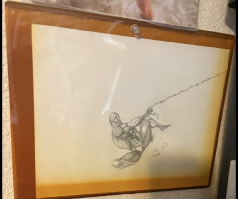 Spider-Man Swinging Framed Pencil Sketch Art Signed Comic Wall Decor